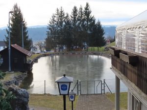 GT36 _Blick auf Teich